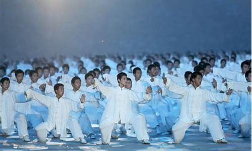 08年奥运会太极拳-08奥运会太极拳冠军