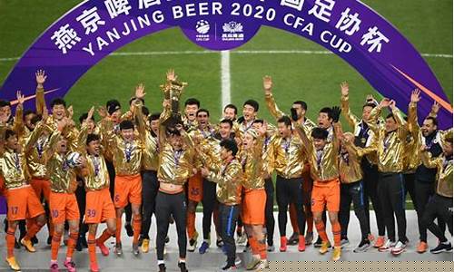 顶级联赛从未降级-非顶级联赛杯赛冠军