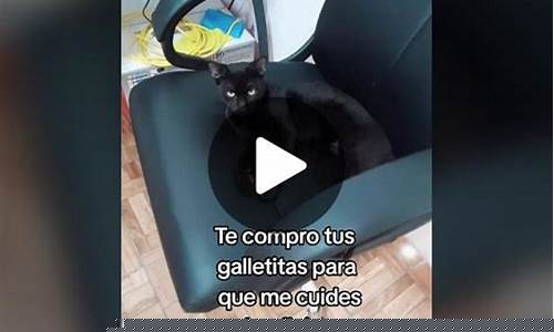 猛龙对勇士总决赛G4-猛龙对勇士总决赛回放