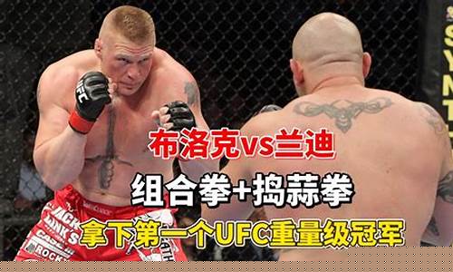 菲多ufc战绩-ufc菲多vs布洛克