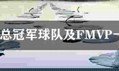 历届总决赛mvp数据-历届总决赛fmvp决赛mvp