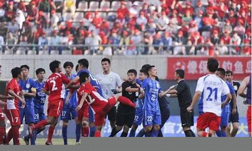 武汉宏兴vs江苏苏宁-武汉宏兴队为什么打人