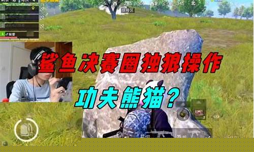 熊猫杯dota决赛-熊猫联赛决赛圈在农村
