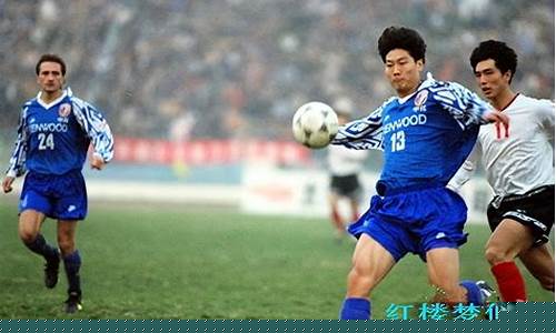 1995年甲a联赛赛程-1995年甲a联赛队员