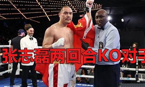刘易斯对布鲁诺-刘易斯vs布鲁诺一战