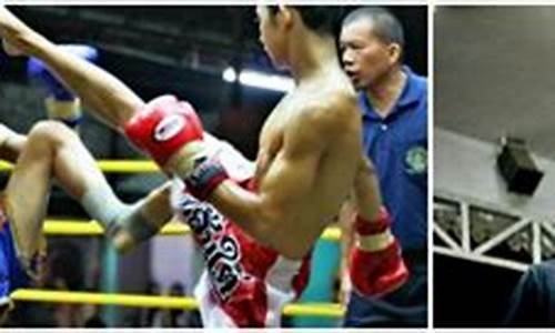 自由搏击vs泰拳比赛-自由搏击vs泰拳