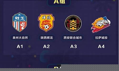 中乙拉萨城投-中冠联赛拉萨城投