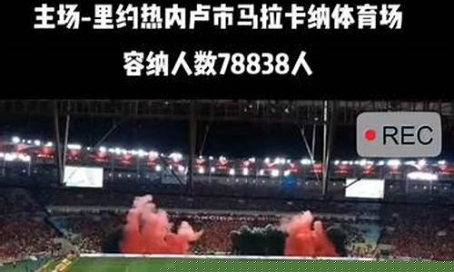 解放者杯巴西球队-巴西甲级联赛解放者杯