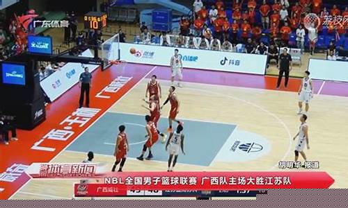 nbl联赛河南打架-河南男子篮球联赛